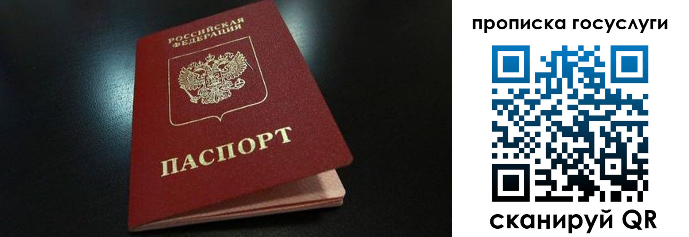 прописка иностранных граждан в Донском